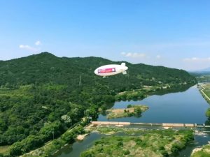 10m Remote Control Blimp Pro