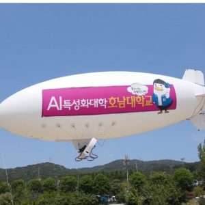 10m-rc-blimp-pro-section-1-1.jpg