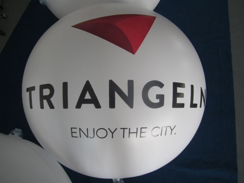 Triangely-Walk-Backpack-Balloon-2023-02.jpg